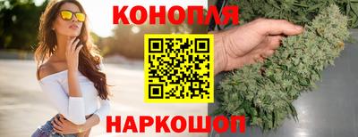 прущие грибы Балашиха