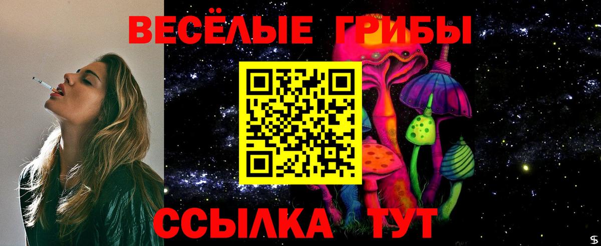 Галлюциногенные грибы Cubensis Владимир