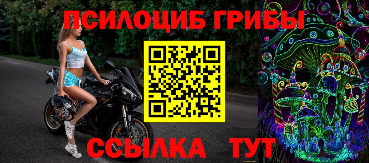 Владимир  Галлюциногенные грибы Psilocybine cubensis  Галлюциногенные грибы прущие грибы  Вход с VPN 