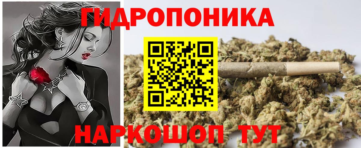 Шишки марихуана OG Kush Владимир